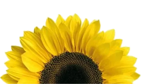 ViaCard